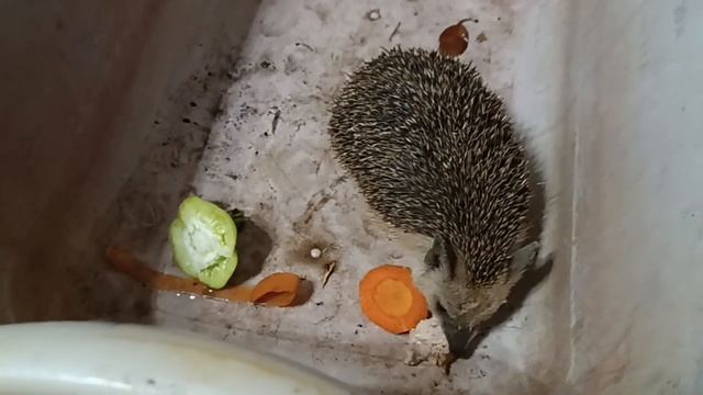 12 июля 2023 г. смотреть онлайн