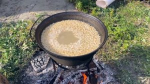 Почему кумандинцы называют себя «люди-лебеди» | ВСЕ К СТОЛУ