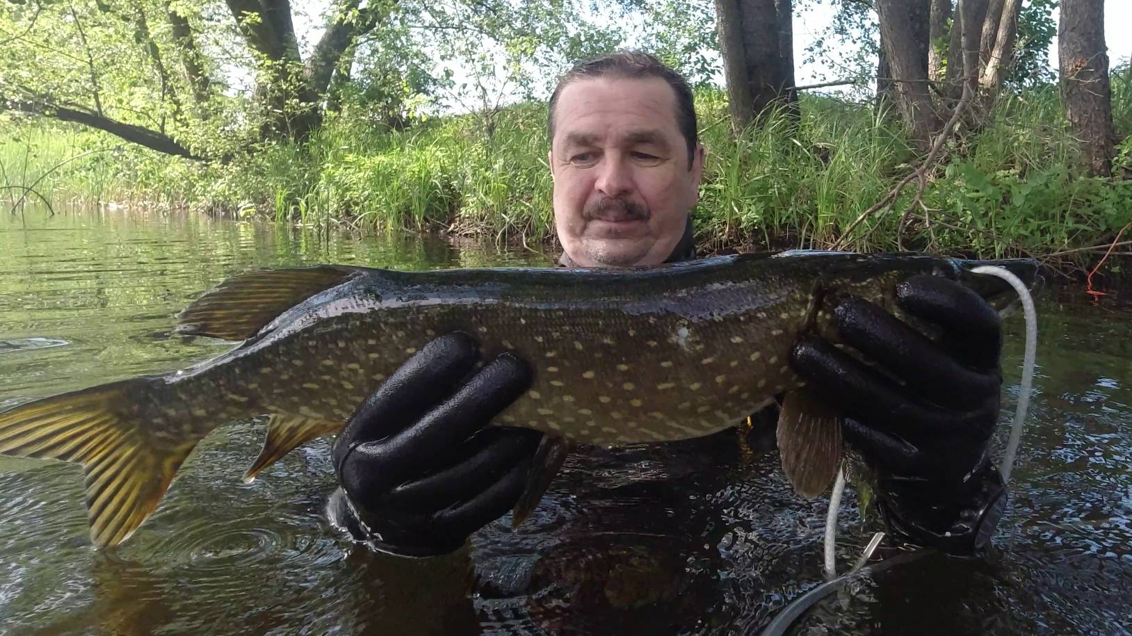 Подводная охота на малой реке на щуку 3.7 кг Ныряю в купель после охоты смотреть онлайн