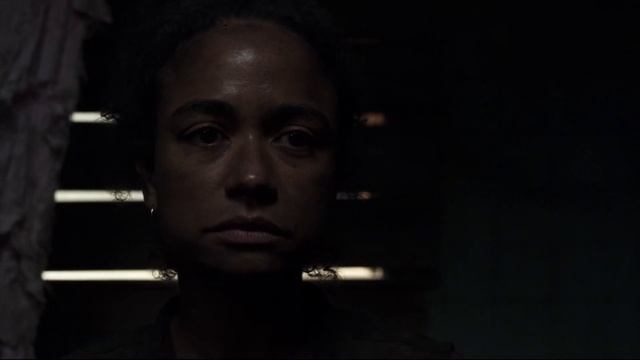 The Beauty Of The Walking Dead Season 11 (full) смотреть онлайн