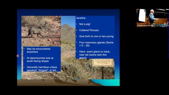 Desert Hacks and Facts смотреть онлайн