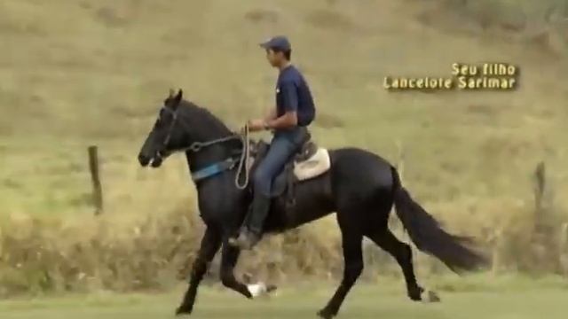 01 - Etiope D2 - Pacote 05 Coberturas смотреть онлайн