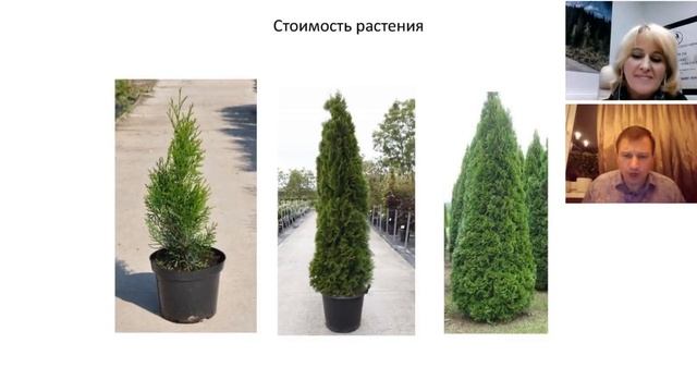 Ландшафтный дизайн, благоустройство и озеленение территории участка смотреть онлайн