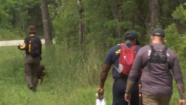 DAY 5: Deputies continue search for man last seen Saturday in Croatan National Forest смотреть онлайн