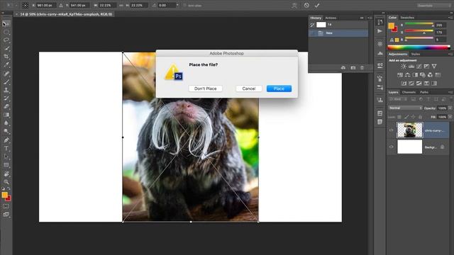 How to open a new window, import/place and crop an image in adobe photoshop cs6 смотреть онлайн