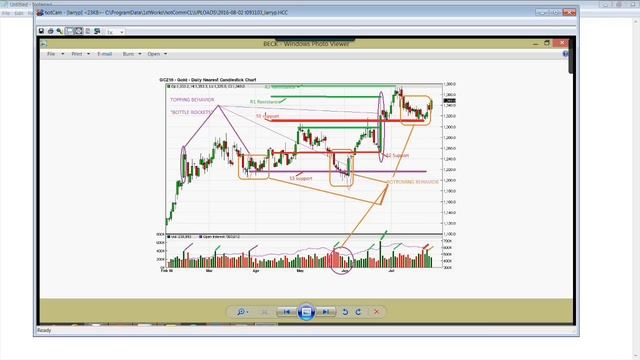 August 2nd Trade What You See with Larry Pesavento on TFNN - 2016 смотреть онлайн