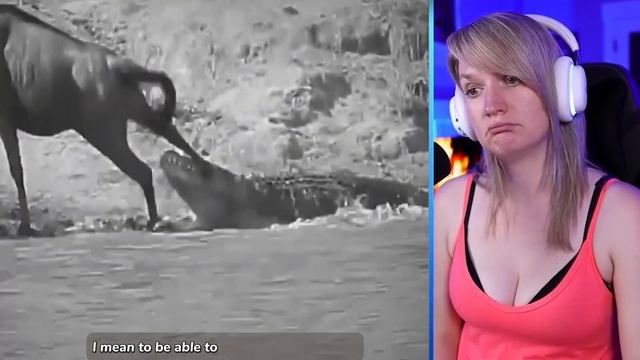 12 Most Unbelievable Moments of Prey Escapes Predators Part 1 | Luong Vlog смотреть онлайн