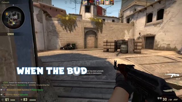 CS:GO FOR KIDS смотреть онлайн
