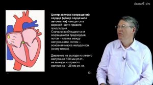 Дубынин В. А. - 100 часов школьной биологии - 1.6. Сердце