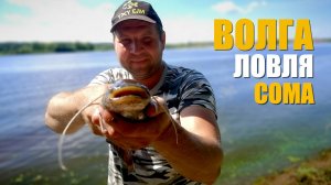 Рыбалка на Волге. Кимры. Ловля Сома 2