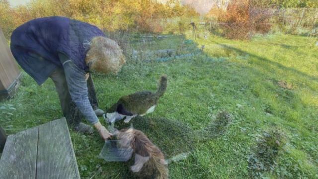 Окончание октября 2024 в "Бризе" смотреть онлайн