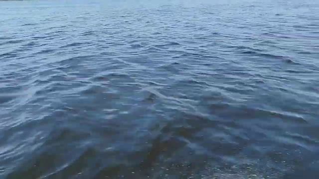 Grouper335w с загрузкой 150-155 кг. смотреть онлайн