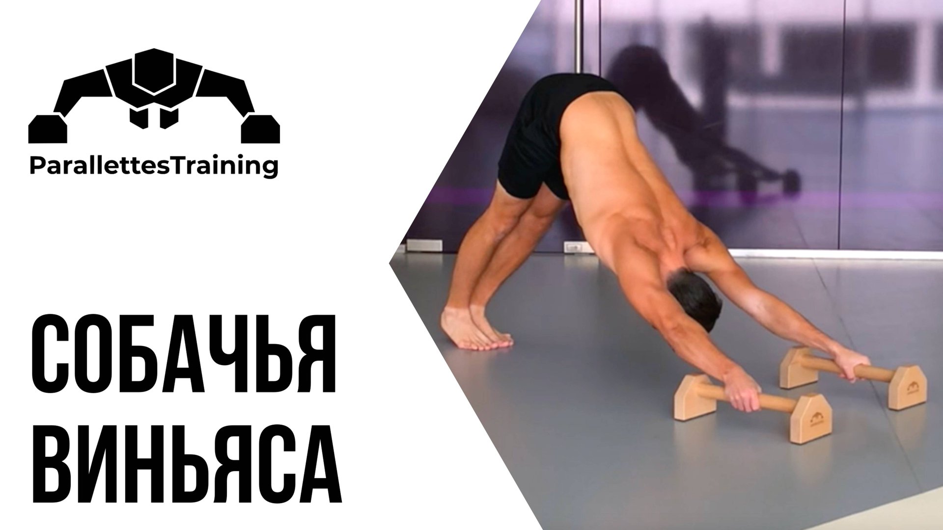 Собачья Виньяса смотреть онлайн