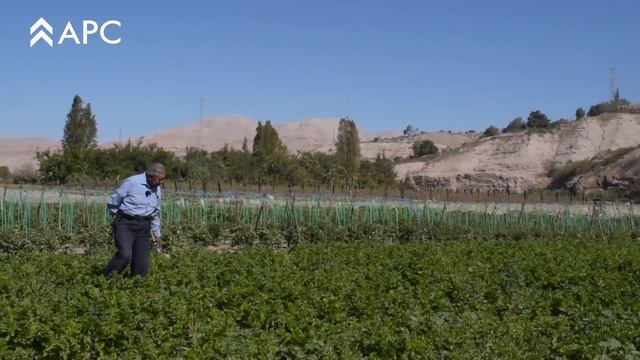 Desarrollo de Proveedores Locales - APC Moquegua смотреть онлайн