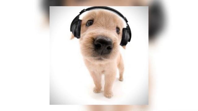 Above & Beyond-Blue Monday {~speed up~} смотреть онлайн