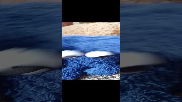 8 часть 2 сезон мягких игрушек🐱