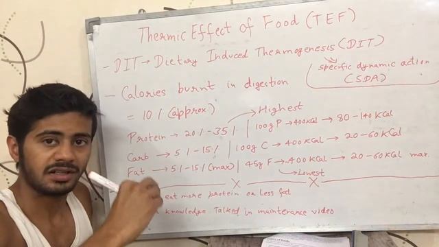 How many calories burn in digesting food? (Hindi) смотреть онлайн