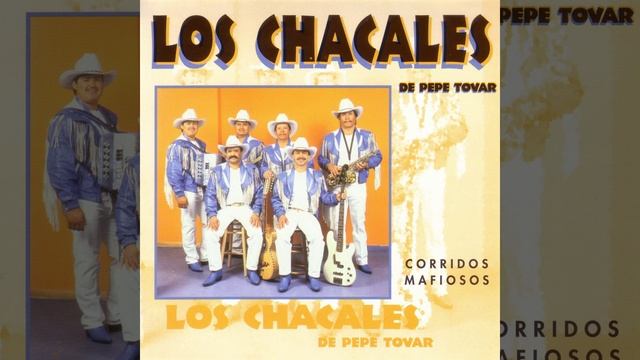La Mafia de Cuahutemoc смотреть онлайн