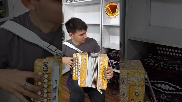 Мастерское исполнение на шикарной заказной гармони с усиленным басом! #гармонь #купитьгармонь смотреть онлайн