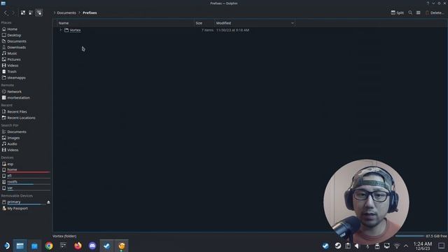 Steam Deck "Unable to create interface ISteamUser" Fix #steamdeck смотреть онлайн