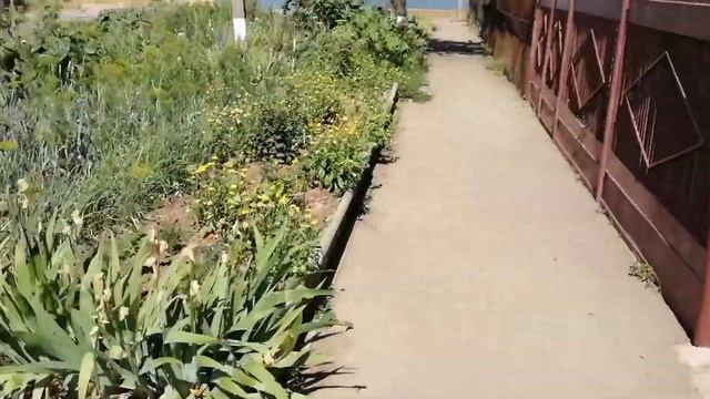 Учимся Ходить ШАГ # 21 | Марафон Полезных Привычек "Волшебная Среда" смотреть онлайн