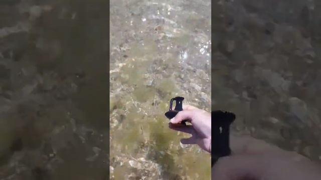 поиск сокровищ смотреть онлайн