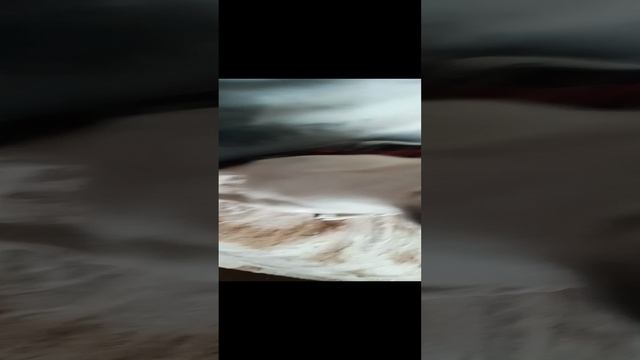 собака Арчи смотреть онлайн