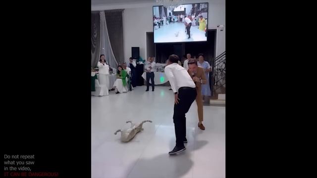 UNUSUAL MEMES COMPILATION V61 (meme.mp4)