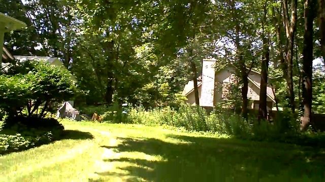 i mow dollies lawn the same each time... смотреть онлайн