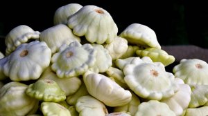 Stalker Online  Найти Патиссона