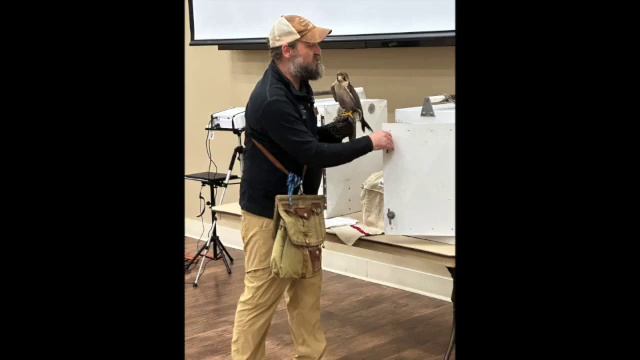 2024-01-23: Short Video of Live Birds of Prey Presentation смотреть онлайн