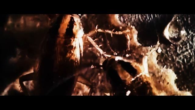 BEARERS - PREY смотреть онлайн