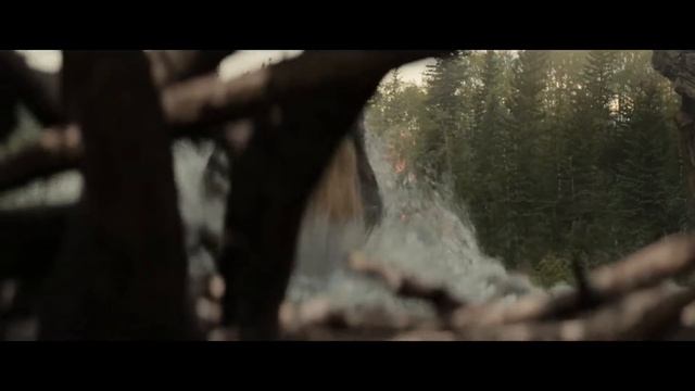 Predator vs Grizzly bear scene~Prey movie (2022) смотреть онлайн