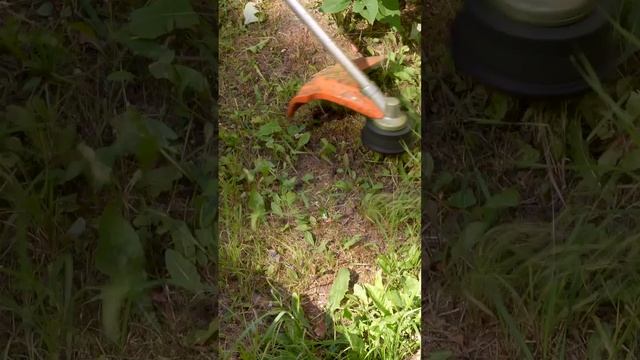 Триммер на дачу: Stihl FS 55 #shorts #инструмент #diy смотреть онлайн