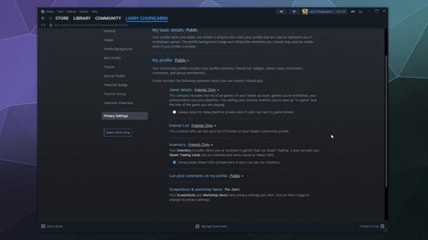 Steam User Profile Privacy Settings - Complete Walkthrough