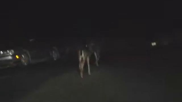 My drive home last night.... смотреть онлайн