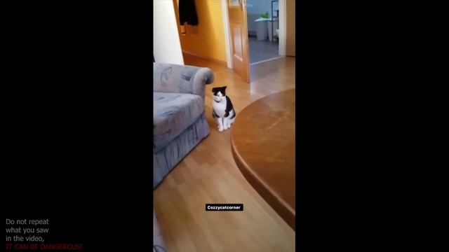 UNUSUAL MEMES COMPILATION V71 (meme.mp4)