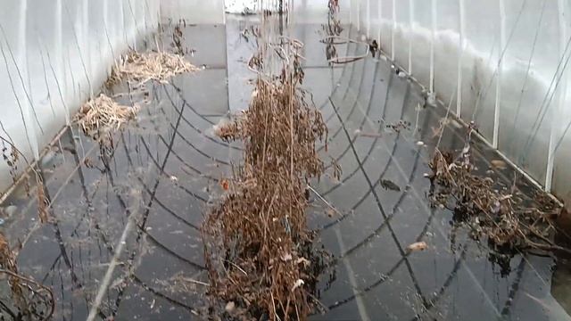 Вода пришла. смотреть онлайн