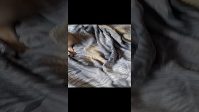 атракцон смотреть онлайн