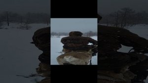 Верхом на СЕВЕРНОМ ОЛЕНЕ🦌КОДАР.