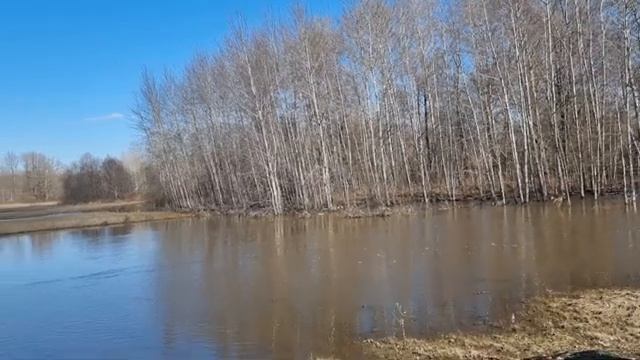 Упал на квадроцикле с моста ! смотреть онлайн