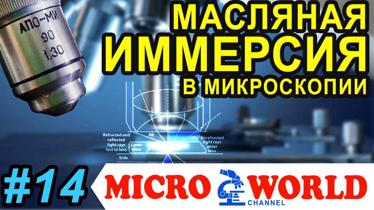 МАСЛЯНАЯ ИММЕРСИЯ В МИКРОСКОПИИ - MICRO WORLD #14 смотреть онлайн