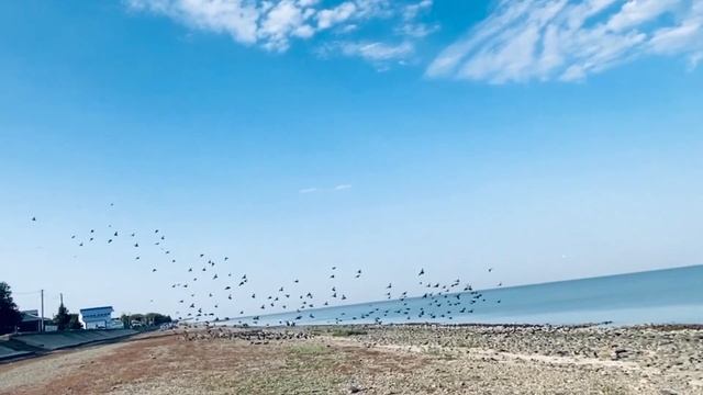 ДОМ У МОРЯ . ⛵ СЕНТЯБРЬ 2020г. Канализация. Яблоки. смотреть онлайн