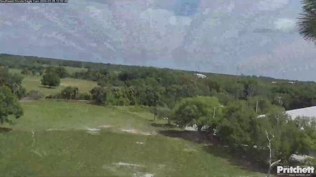 Bald Eagle Daily Timelapse [03-26-2024] Southwest Florida Eagle Cam #timelapse #eagle #birdcams смотреть онлайн