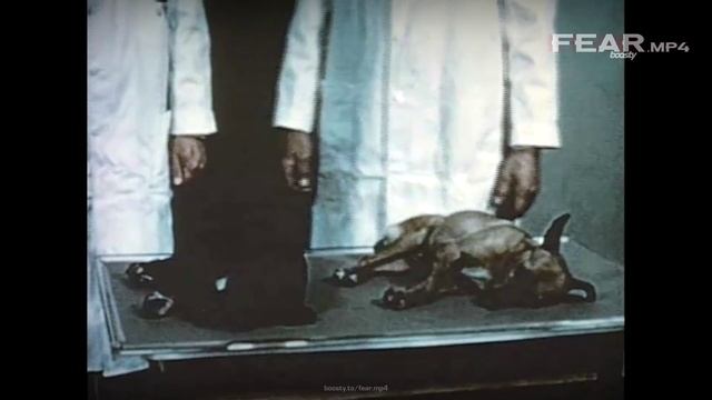 Темная сторона науки смотреть онлайн