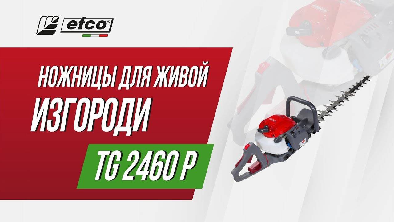 Бензиновые ножницы Efco TG 2460 P – обзор, характеристики, применение смотреть онлайн