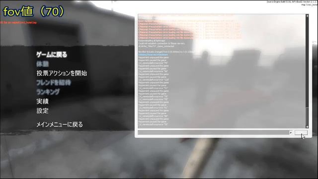 L4D2小ネタ～腕から先のfov(視野角)を変更してみた