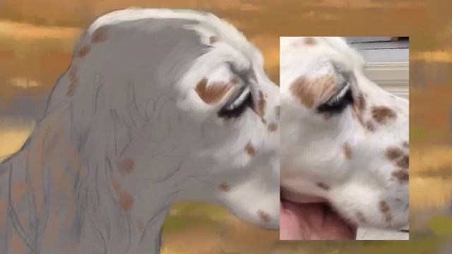 Kassie - Procreate Timelapse Portrait using Wacom stylus on iPad смотреть онлайн