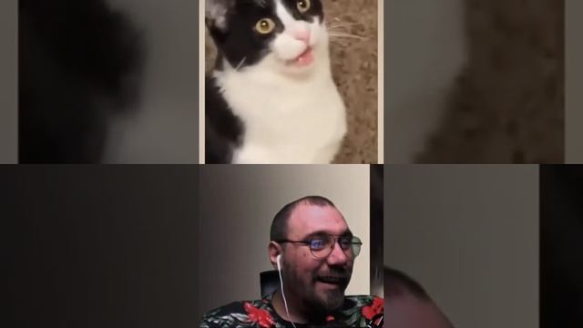 кривляка #ЛУЧШИЕПРИКОЛЫ #ПРИКОЛЫ #юмор  #смешныевидео