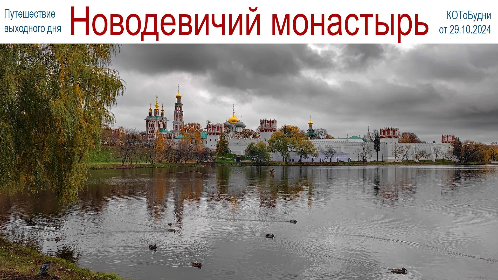 Прогулка по осенней Москве - Новодевичий монастырь или КОТоБудни от 29 октября 2024 г. смотреть онлайн